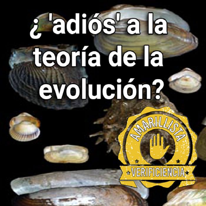 No sobrevive el más fuerte, sino el más vago: 'adiós' a la teoría de la evolución.