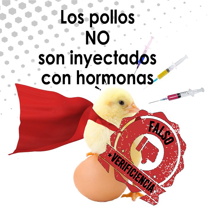 Pollo y hormonas.