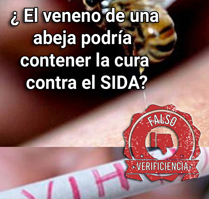 ¿El veneno de una abeja podría contener la cura contra el SIDA?