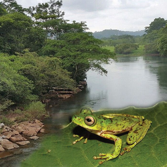 ¿Sirve  para algo la ciencia ecológica de México?