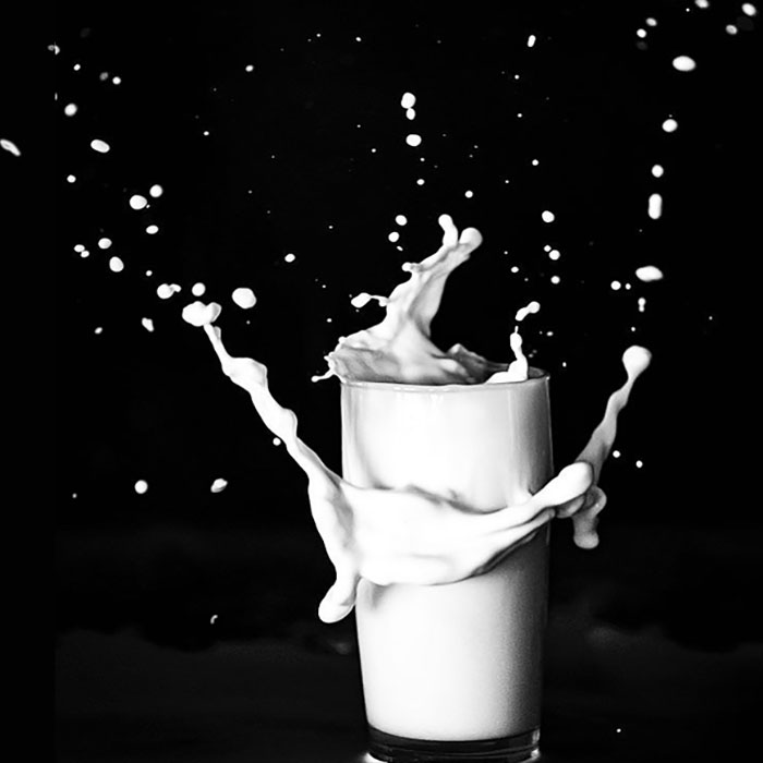 Leche y Salud: La Evidencia
